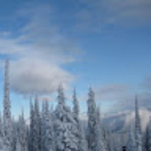 Meet your Posher, Colleen